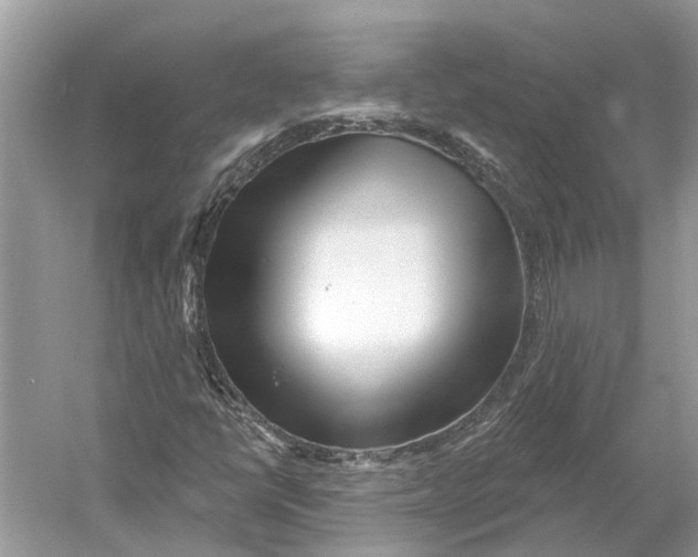 X0000052941398200508050843