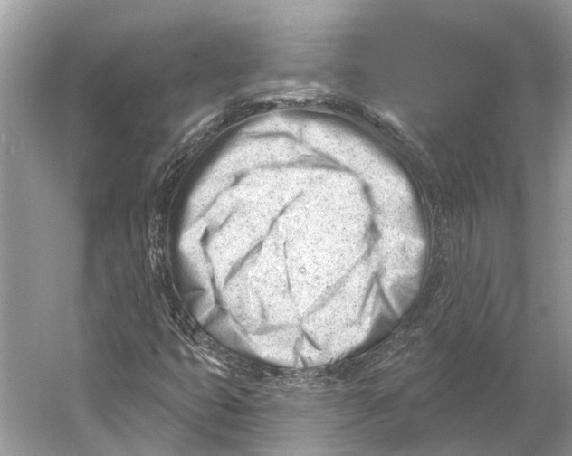 X0000052941399200508050843