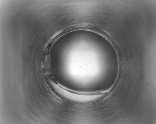 X0000052941402200508050843