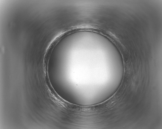 X0000052941408200508050843