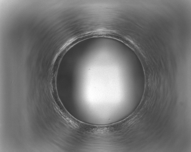 X0000052941410200508050844