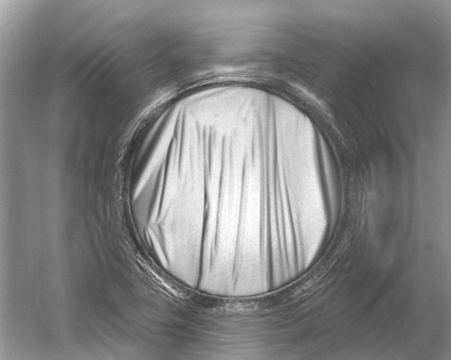 X0000052941411200508050844