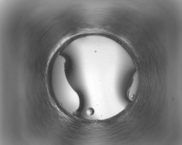 X0000052941414200508050844