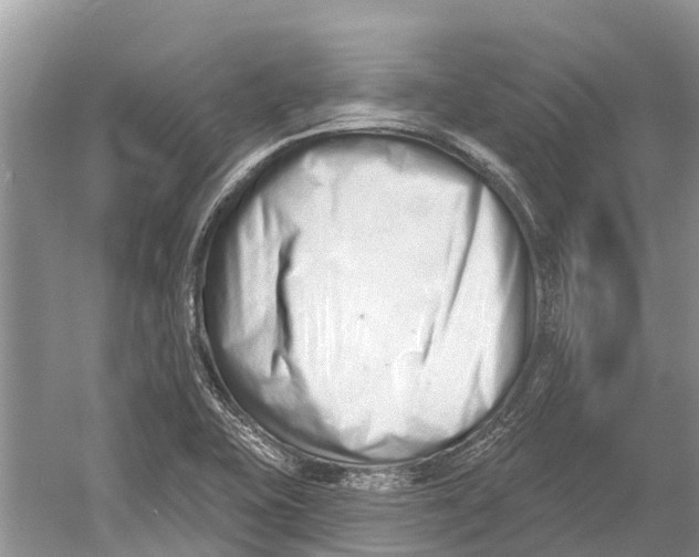 X0000052941415200508050844