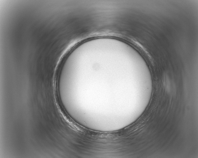 X0000052941416200508050844