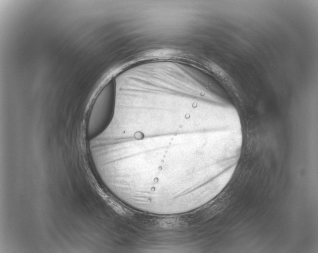 X0000052941421200508050844