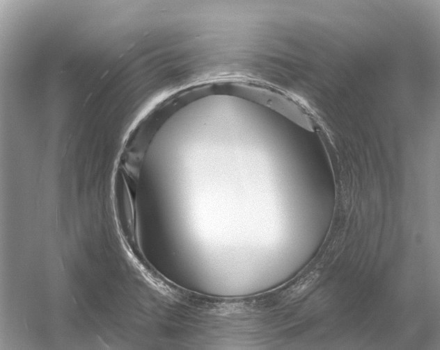 X0000052941422200508050844