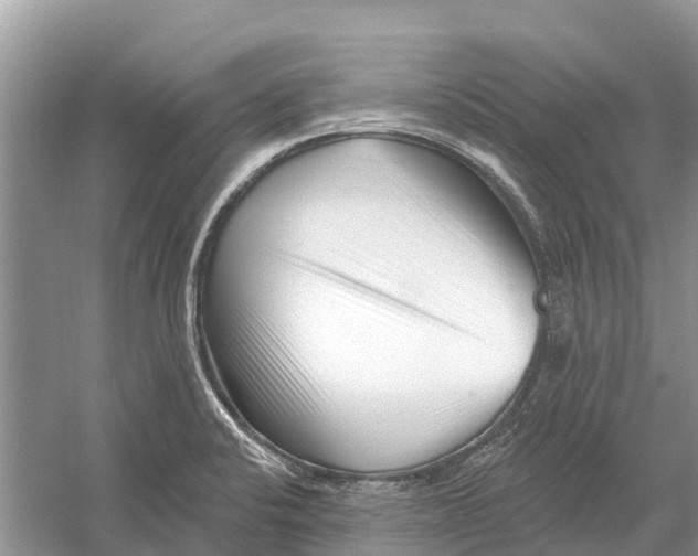 X0000052941424200508050844