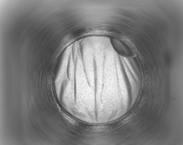 X0000052941425200508050844