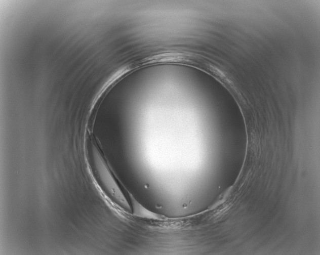 X0000052941426200508050844