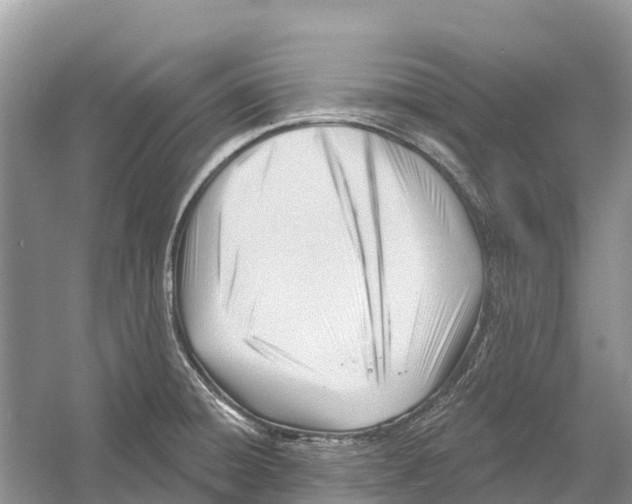 X0000052941428200508050844