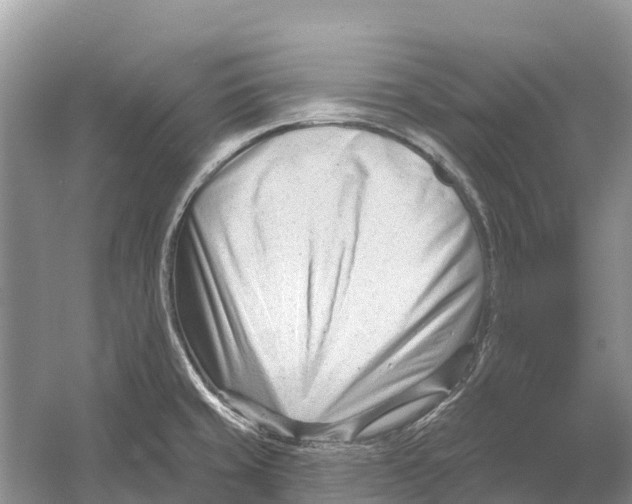 X0000052941429200508050844