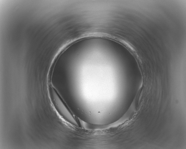 X0000052941430200508050844