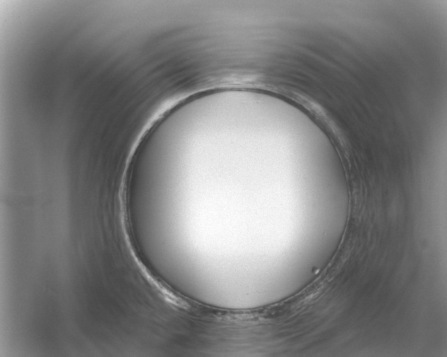 X0000052941432200508050844