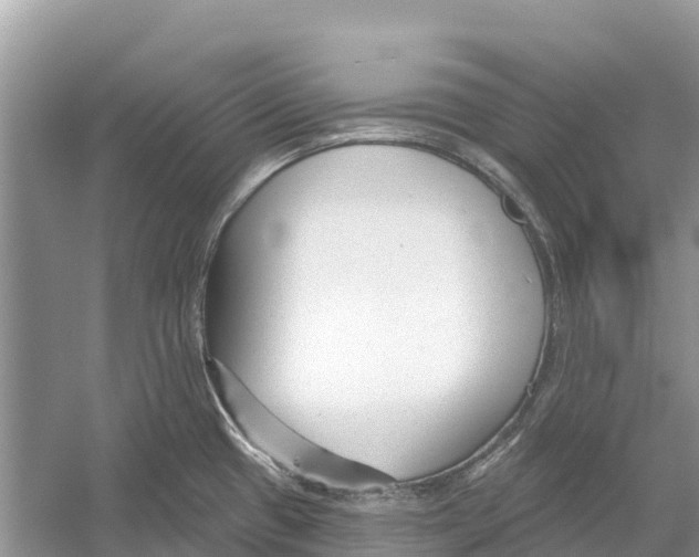 X0000052941433200508050844