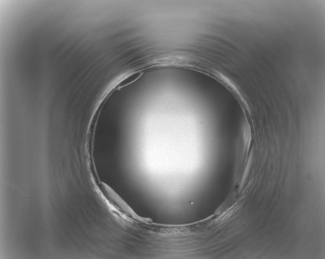 X0000052941434200508050844