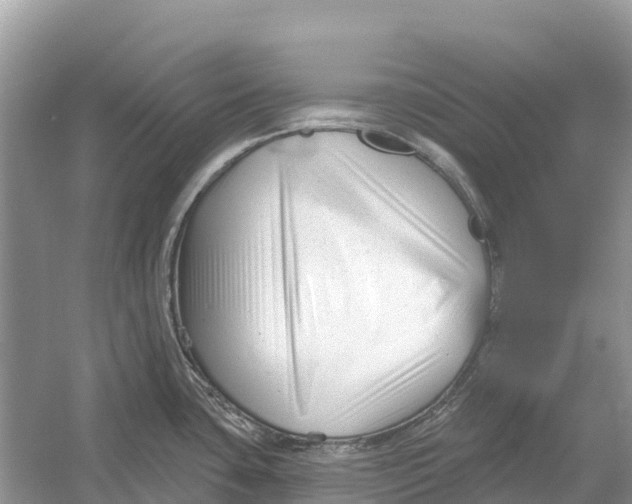 X0000052941435200508050844