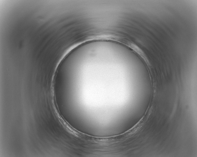 X0000052941436200508050844