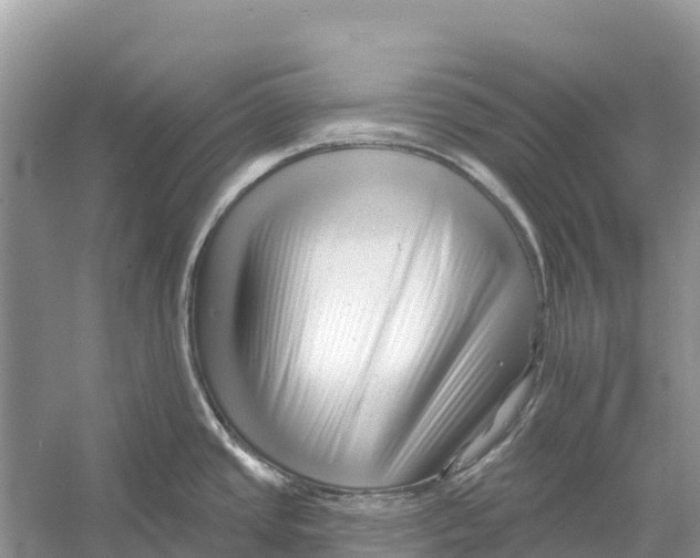 X0000052941437200508050844