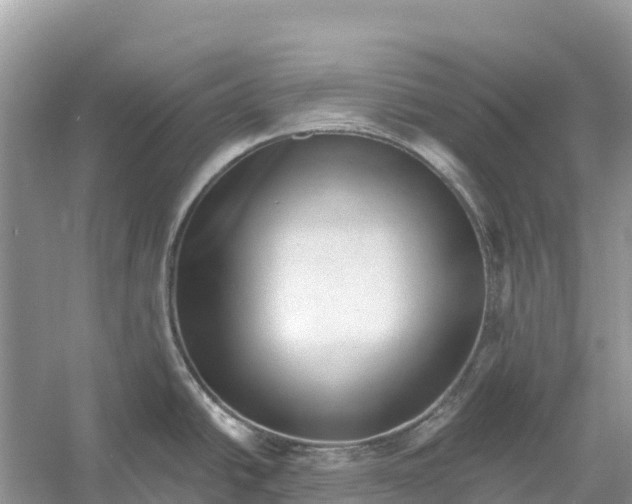 X0000052941438200508050844