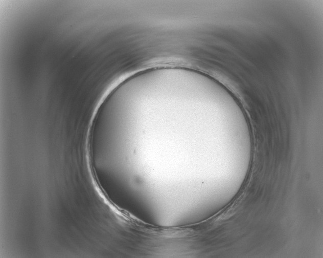 X0000052941440200508050844