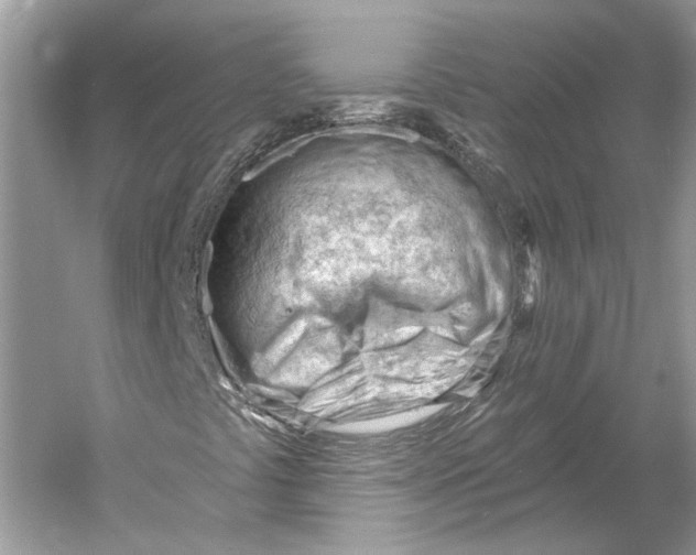 X0000052941441200508050843