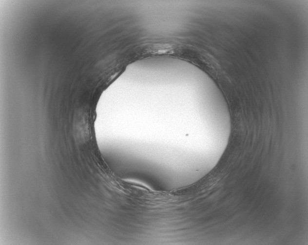 X0000052941442200508050843