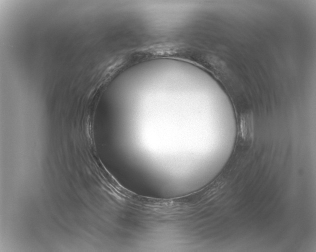 X0000052941444200508050843