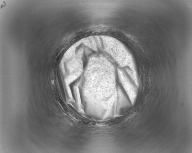 X0000052941445200508050843