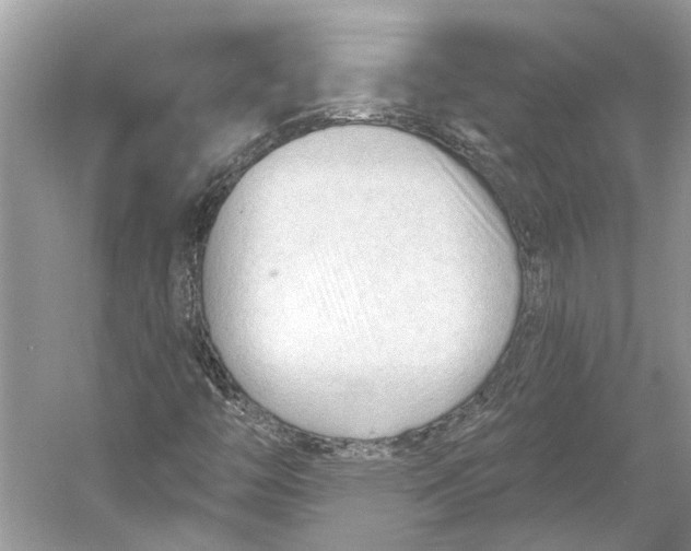 X0000052941446200508050843