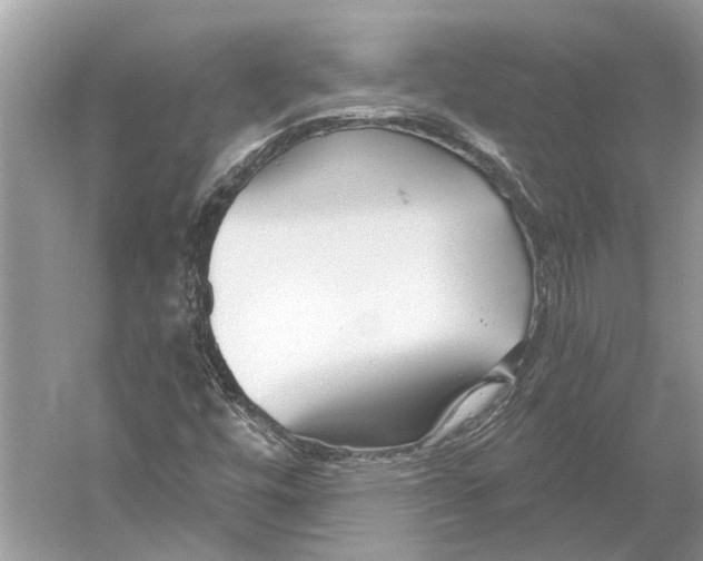 X0000052941448200508050843