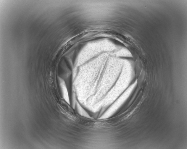 X0000052941449200508050843