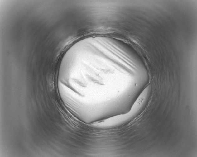 X0000052941451200508050843