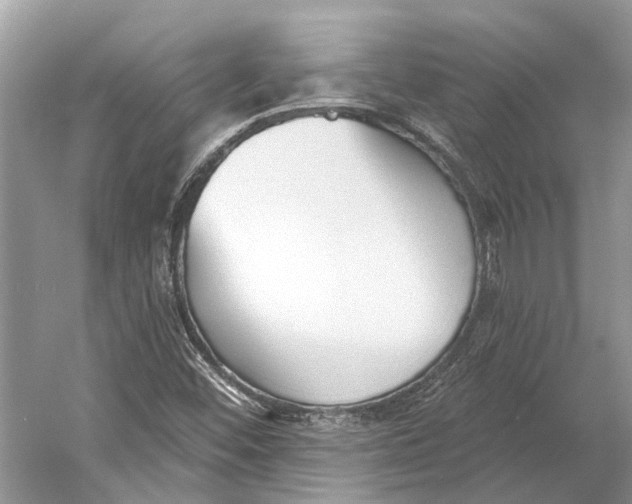 X0000052941452200508050843