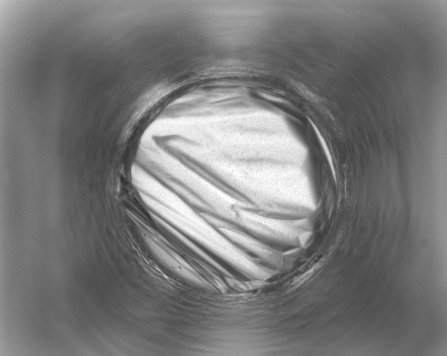 X0000052941453200508050843