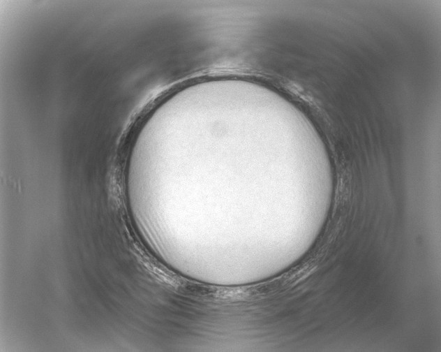 X0000052941454200508050843