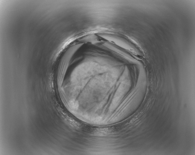 X0000052941455200508050843