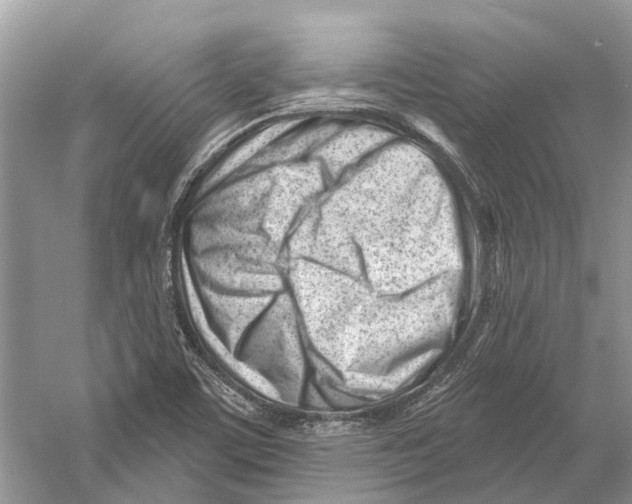 X0000052941459200508050843