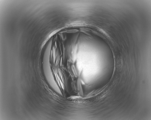 X0000052941461200508050843