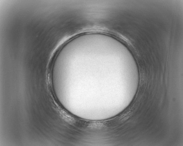 X0000052941462200508050843