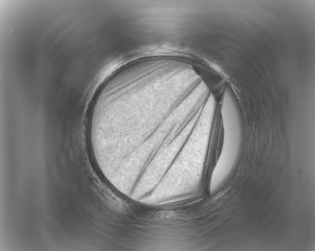 X0000052941463200508050843