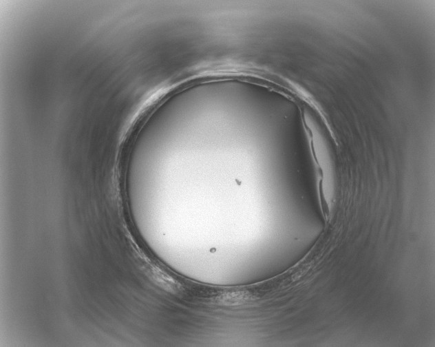 X0000052941464200508050843