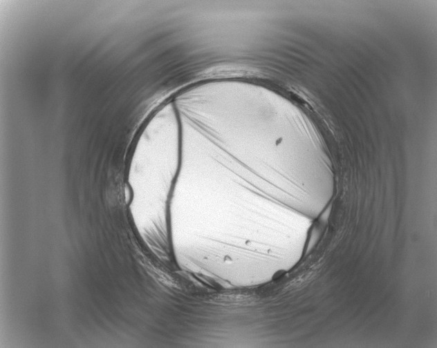 X0000052941465200508050843