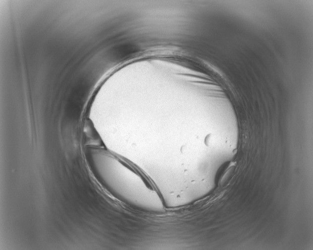 X0000052941467200508050843