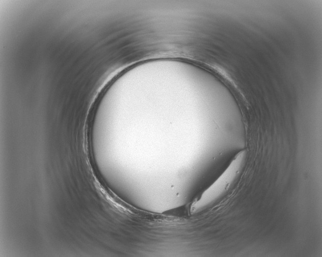 X0000052941468200508050843