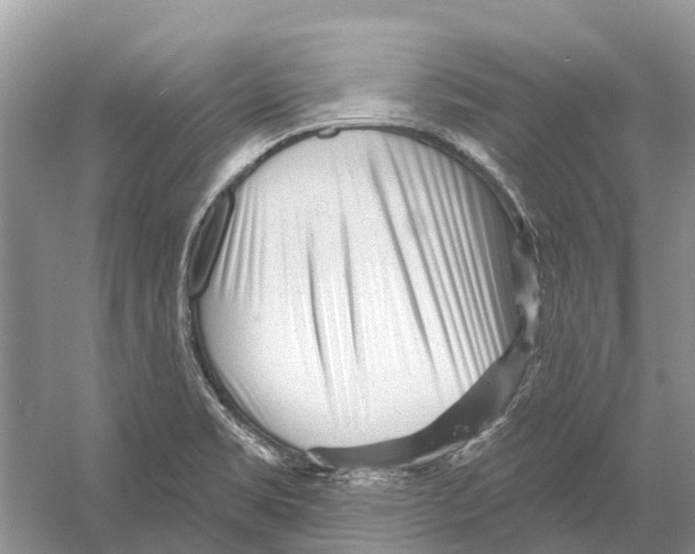 X0000052941469200508050843