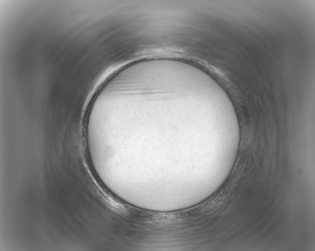 X0000052941470200508050843