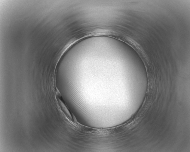 X0000052941473200508050843