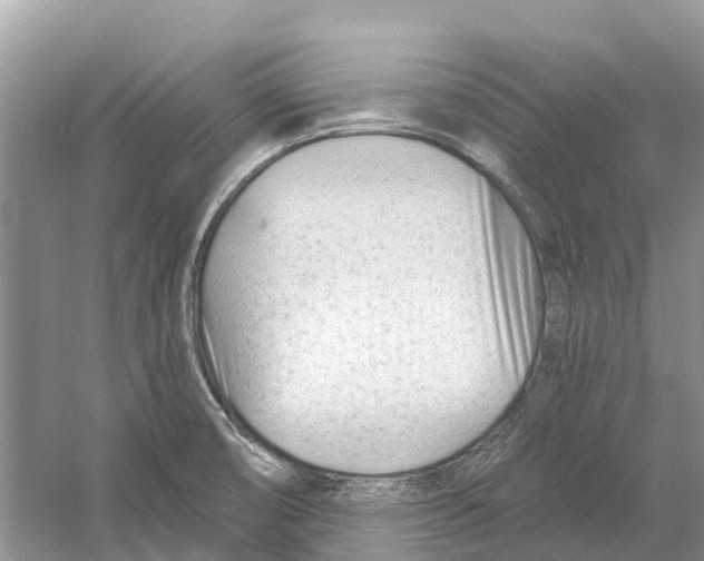 X0000052941474200508050843