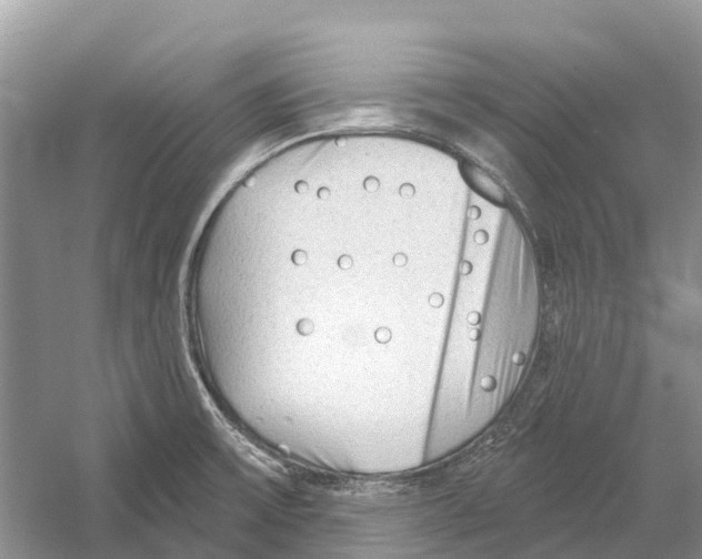 X0000052941475200508050843